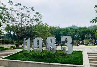 青岛特色服务信息奥赛培训编程